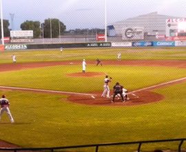 rojos algodoneros 2016